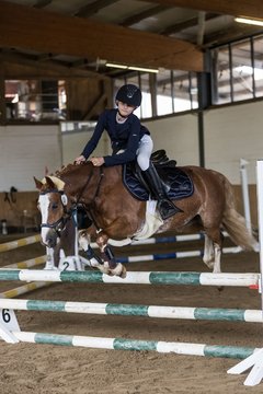 Bild 29 - Pony Akademie Turnier